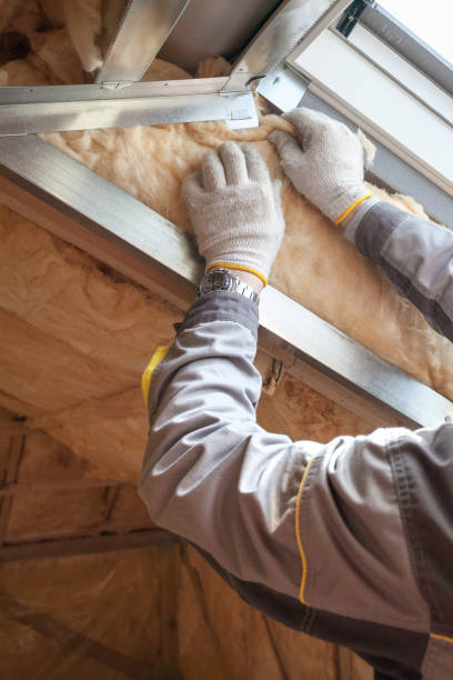 Best Insulation for Specific Applications in USA